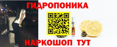 стаф Гатчина