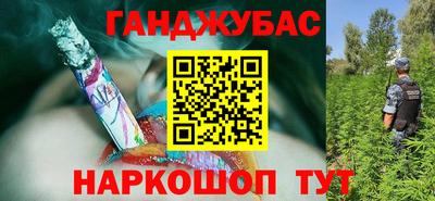 прущие грибы Гусиноозёрск