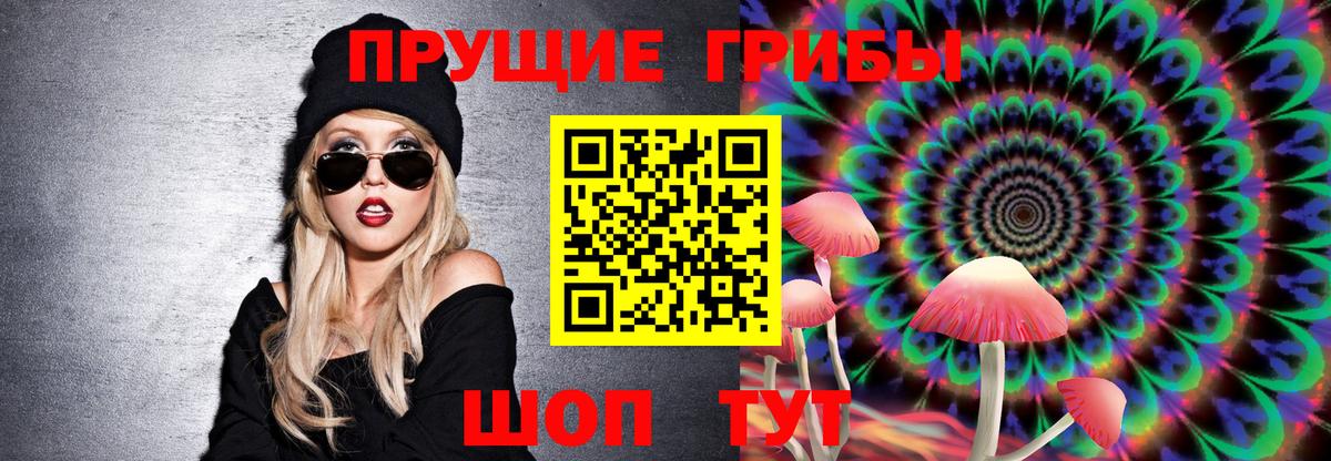 Галлюциногенные грибы Magic Shrooms  Вход с VPN  Михайловка  Галлюциногенные грибы MAGIC MUSHROOMS 